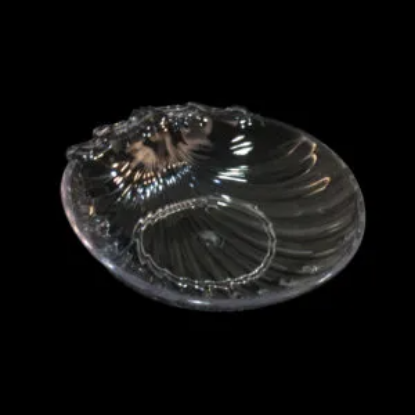Picture of Small Scallop Shell for Amenities Clear 