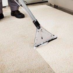 Picture for category Carpet Care