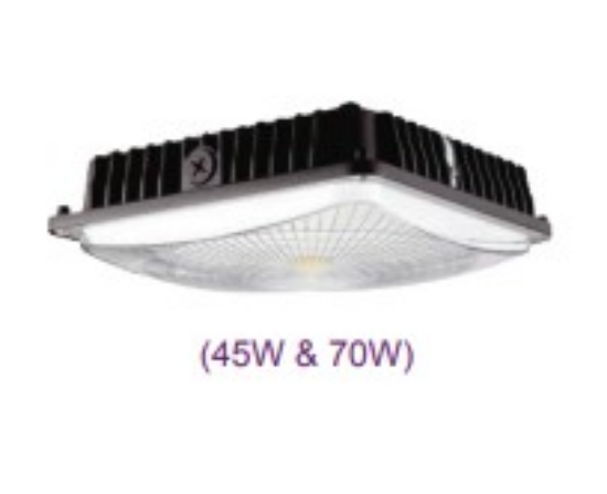 Picture of Canopy Lights 70w