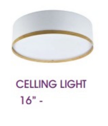 Picture of City Sea Sun Lamp Collection Celling Light 16"