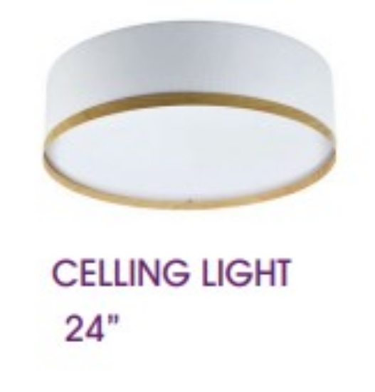 Picture of City Sea Sun Lamp Collection Celling Light 24"