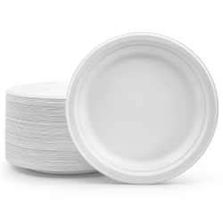 Picture of Leafy 9" BAGASSE ROUND PLATE, 500 Ct. 4 PACKS OF 125