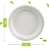 Picture of Leafy 9" BAGASSE ROUND PLATE, 500 Ct. 4 PACKS OF 125