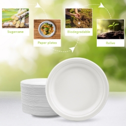 Picture of Leafy 9" BAGASSE ROUND PLATE, 500 Ct. 4 PACKS OF 125