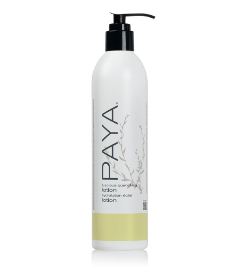 Picture of PAYA LOTION 12OZ DOVELOK 20 / Case