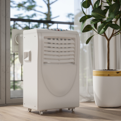 Picture for category Dehumidifiers