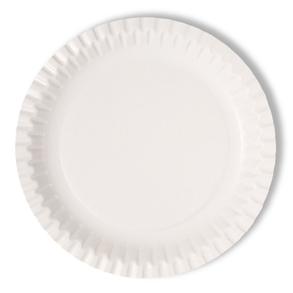 Picture of 9-Inch Biodegradable Paper Plates – 250 Count per Case