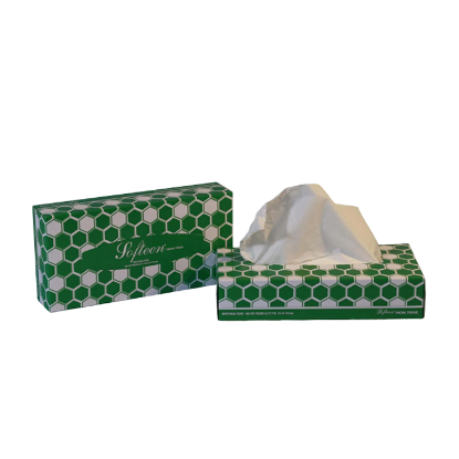 Picture of Softeen Facial Tissue 100sheets 2ply case of 30