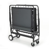 Picture of Rollaway Bed Metal Frame Only 1291P Twin 