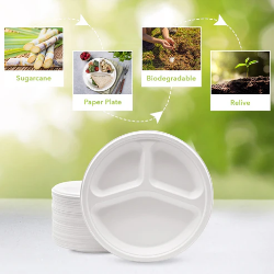 Picture of Three Leaf 10" 3 Compartment Bagasse Round Plate, 500 Ct. (20 Packs Of 25)