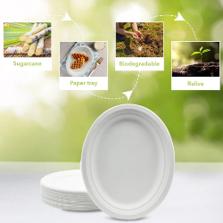 Picture of Three Leaf 12" X 10" Bagasse Oval Plate, 500 Ct, (20 Packs Of 25 )