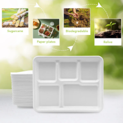 Picture of Three Leaf 5 Compartment Bagasse (School) Tray 500 Ct. (10 Packs Of 50)