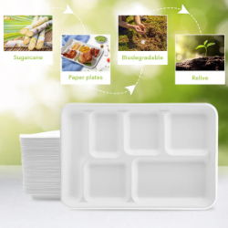 Picture of Three Leaf 6 Compartment Bagasse Tray 400 Ct. (8 Packs Of 50)