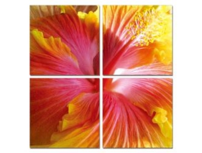 Picture of Modrest Hibiscus 4-Panel Photo on Canvas