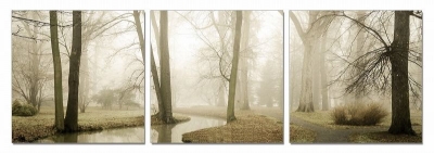 Picture of Modrest Mist 3-Panel Photo On Canvas