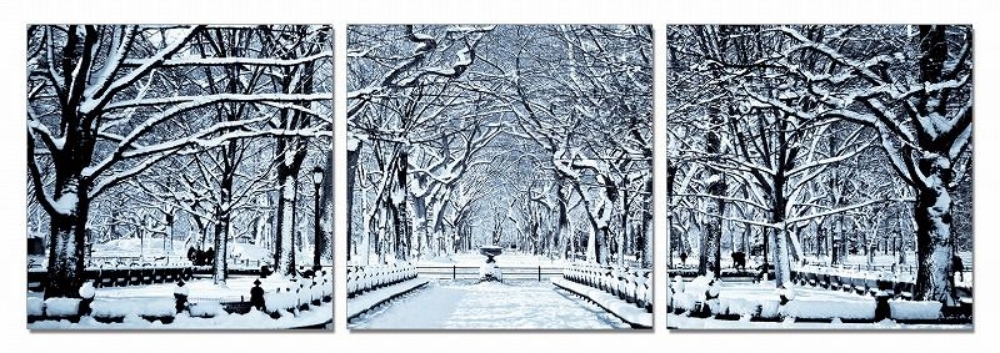 Picture of Modrest Winter Trees 3-Panel Photo