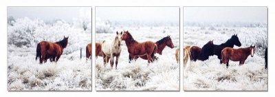 Picture of Modrest Mustangs 3-Panel Photo On Canvas