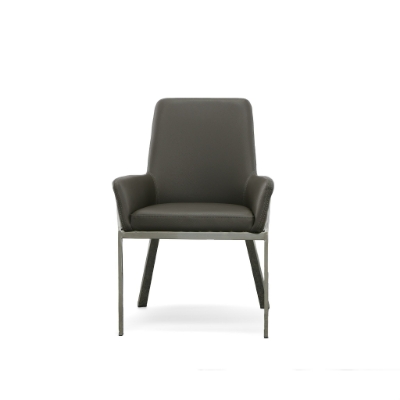 Picture of Modrest Robin Modern Grey Bonded Leather Dining Chair