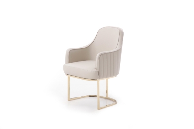 Picture of Modrest Tyler - Modern Grey + Gold Dining Chair