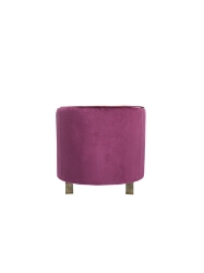 Picture of Divani Casa Anthony Modern Pink & Gold Accent Chair