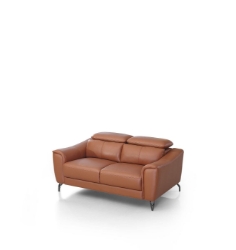 Picture of Divani Casa Danis - Modern Cognac Leather Brown Loveseat