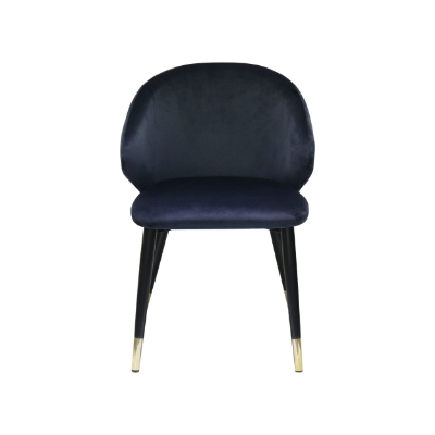 Picture of Modrest Elon - Modern Blue Velvet Dining Chair (Set of 2)