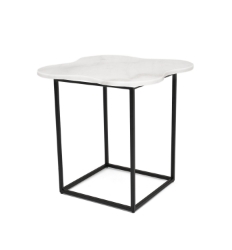 Picture of Modrest Aleidy - White Marble + Black Metal End Table