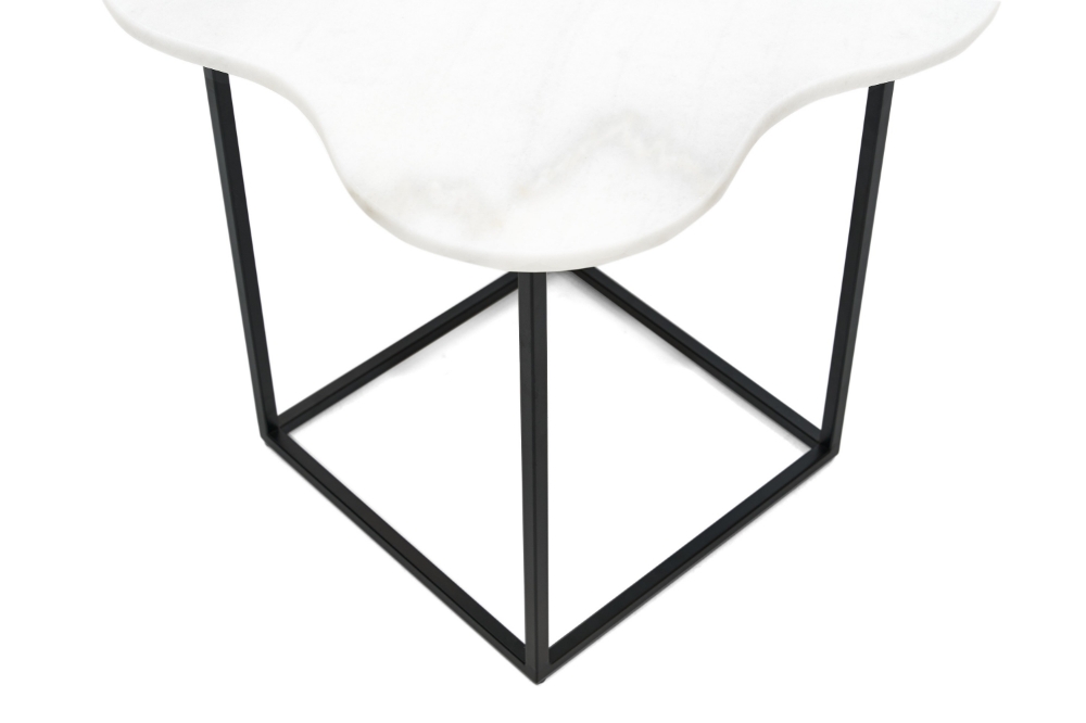 Picture of Modrest Aleidy - White Marble + Black Metal End Table