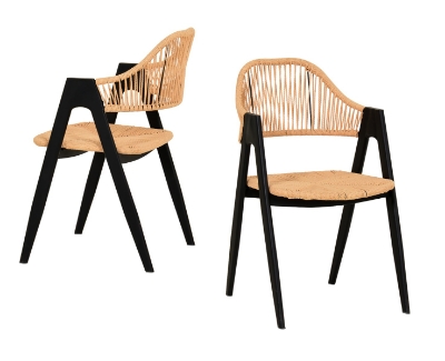 Picture of Modrest Gayle - Modern Rattan Dining Chair Set of 2