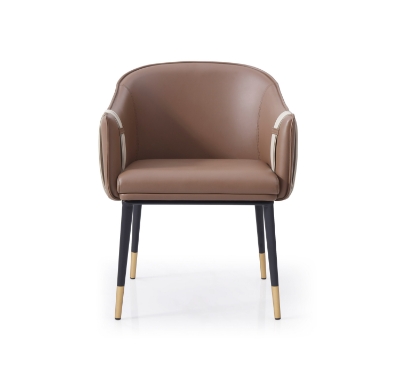 Picture of Modrest Calderon - Modern Brown & Beige Vegan Leather Dining Chair