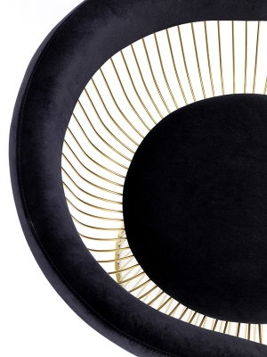 Picture of Modrest Chandler Black Velvet & Gold Dining Chair